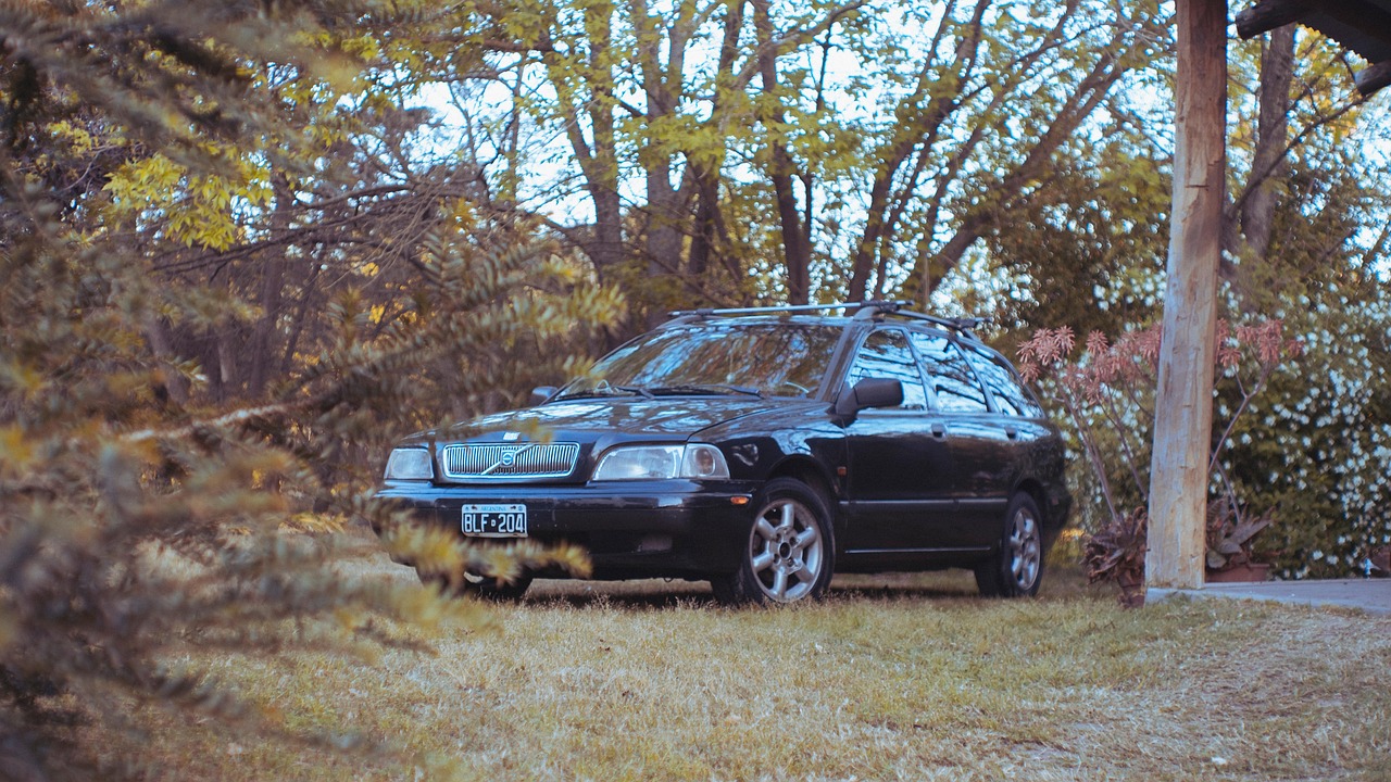 华体会,注册|详情下载教程达达兔APP