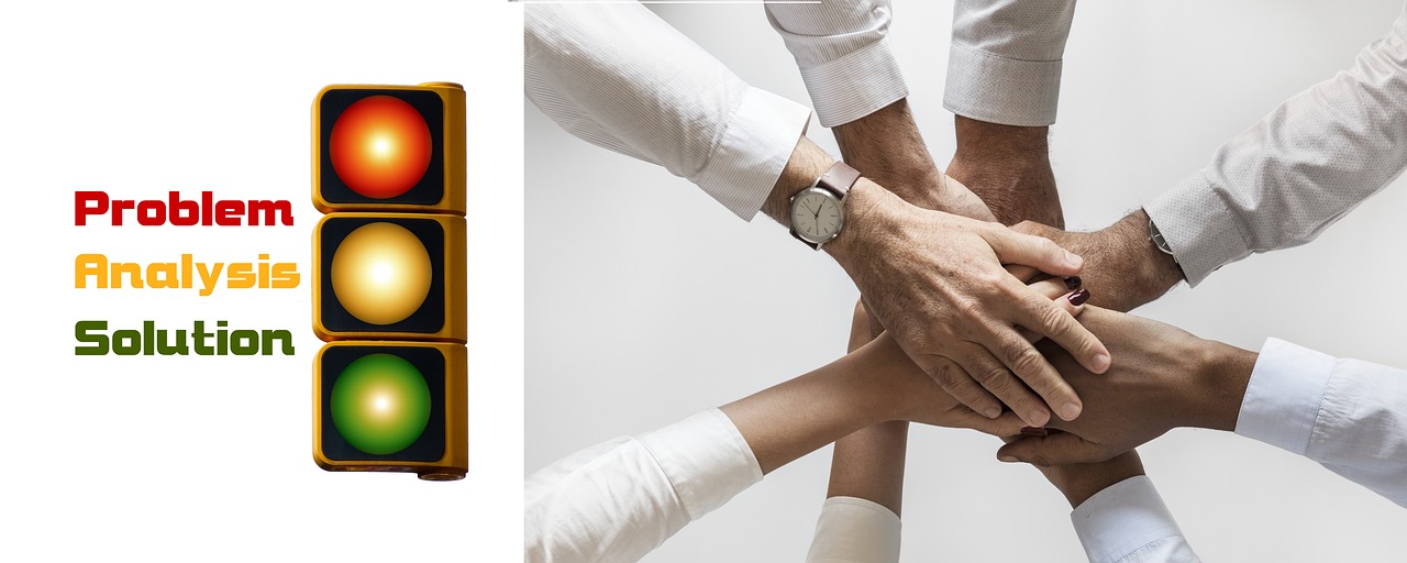 天仙月(3D)辅助- 闽清县商标代理注册