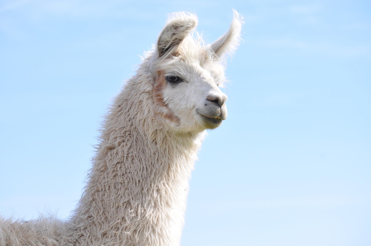 虎牙实名账号:组装笔代理平台