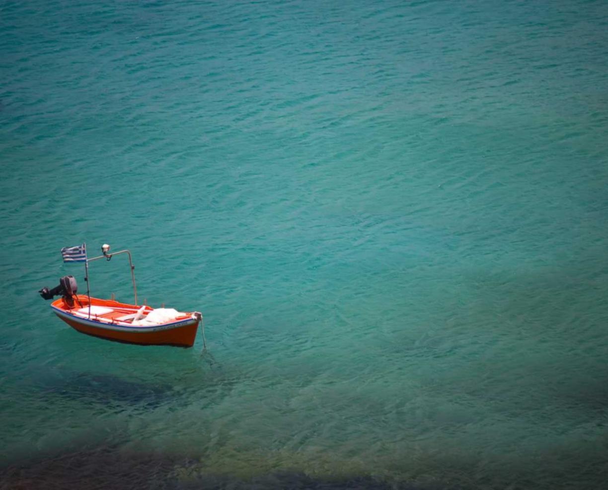 如何识别不同时期的SEO趋势