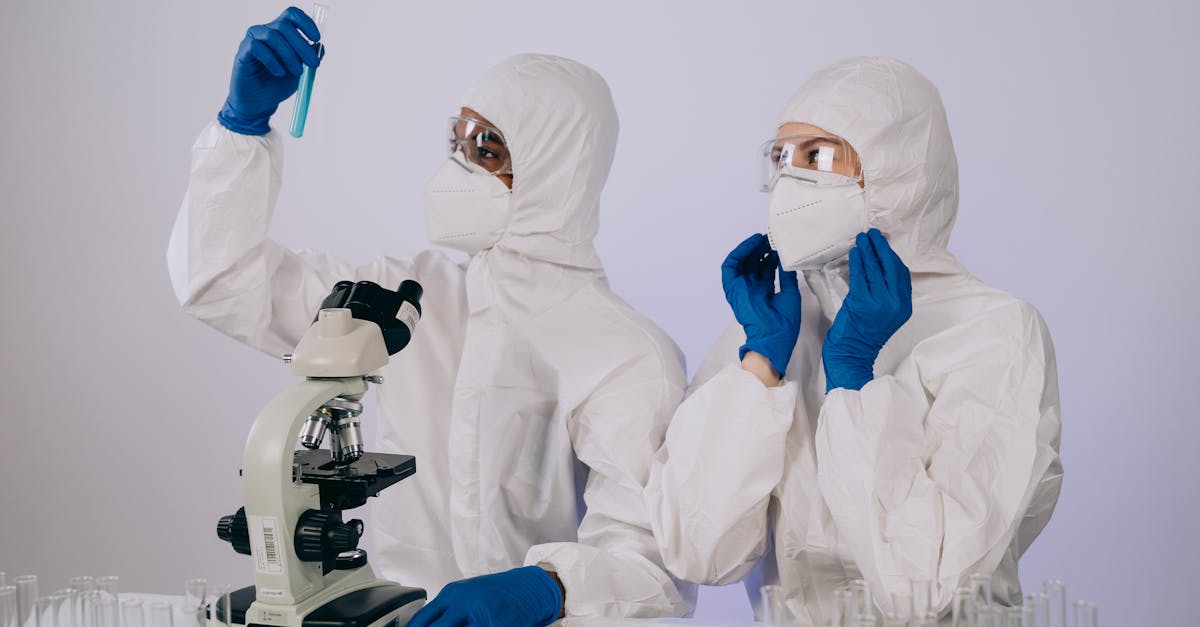 中免555柠檬双爆珠：六年级英语app详情下载教程