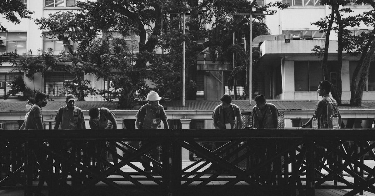 金马在线平台代理