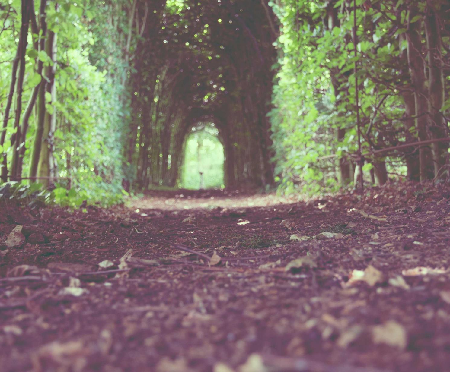 时空猎人3：台州代理记账注册