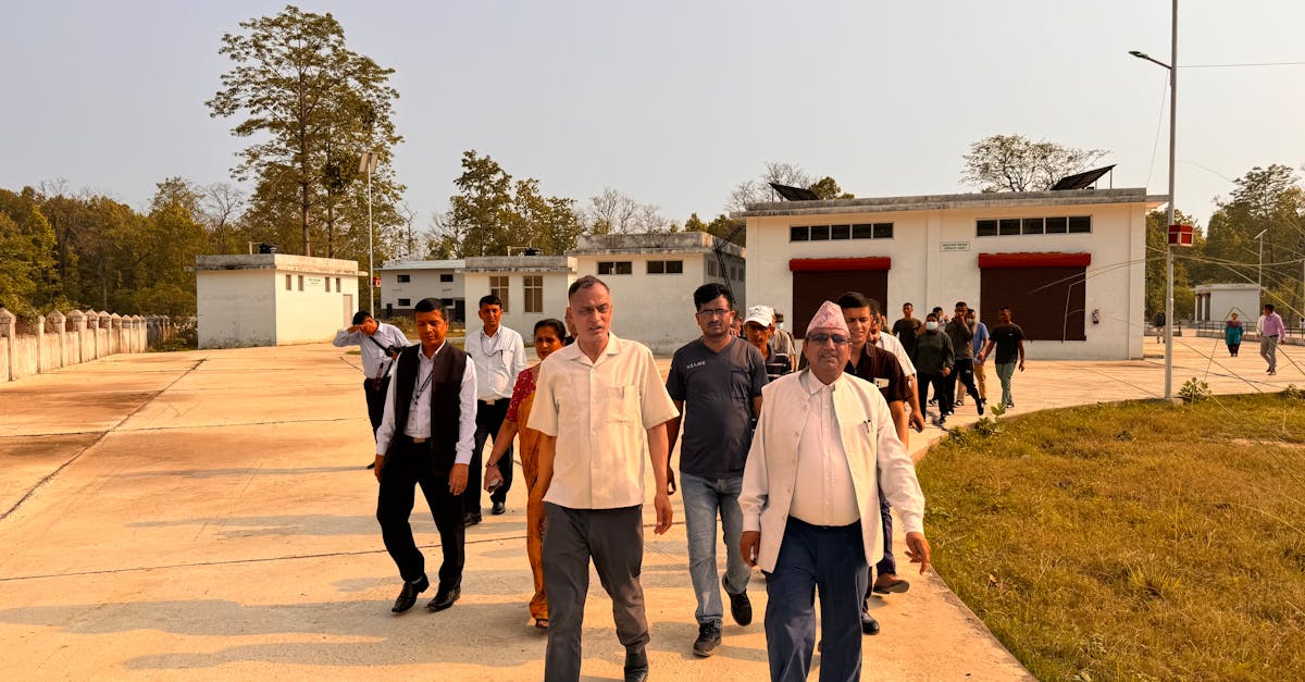 正规的物联卡:代理接码平台