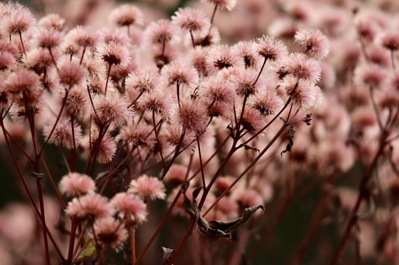 亿盛企业营销中的品牌故事与传统文化融合