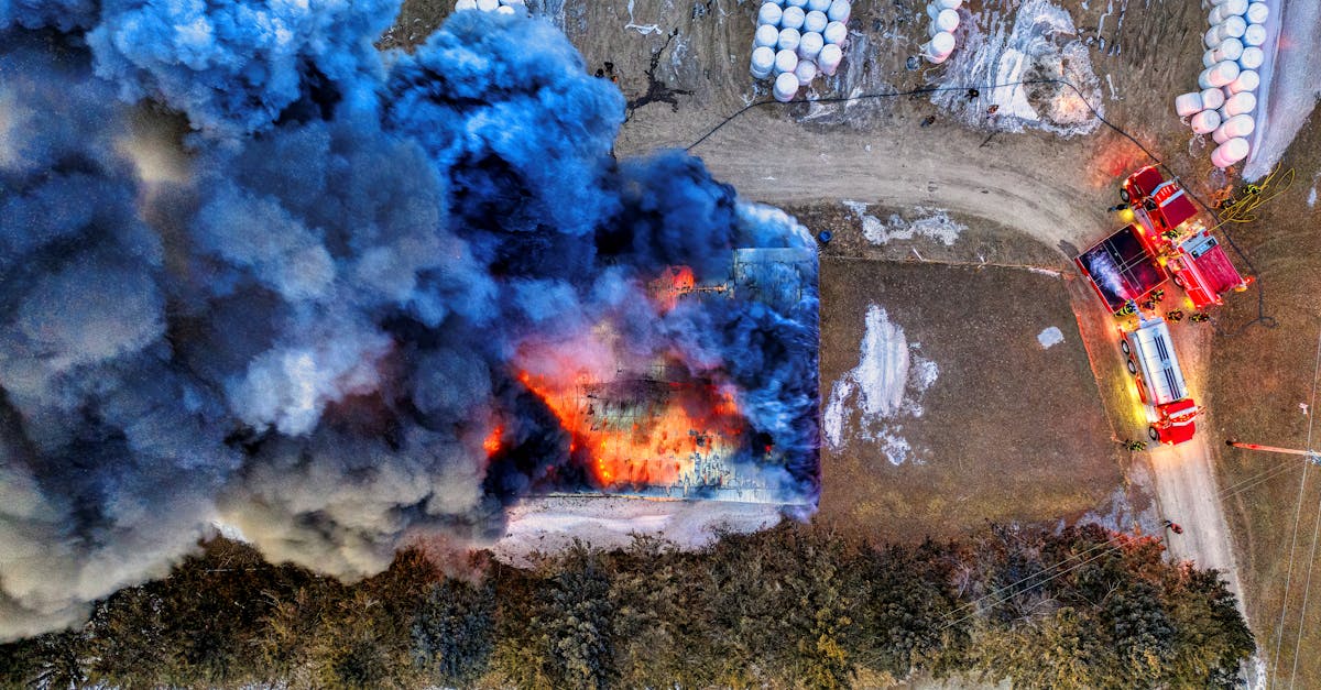 新剑侠世界3：游戏辅助自动化工具代理平台王者