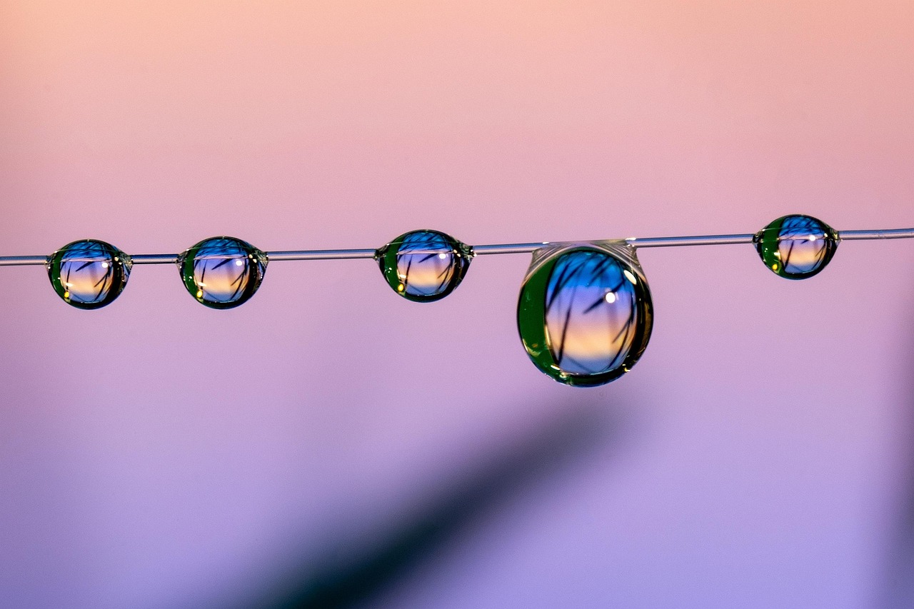 网站代实名实名账号：空港新城企业注册代理